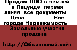 Продам ООО с землей в Пицунде, первая линия, все документы › Цена ­ 9 000 000 - Все города Недвижимость » Земельные участки продажа   